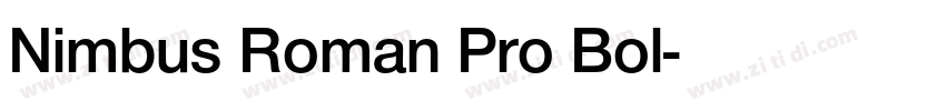 Nimbus Roman Pro Bol字体转换 Nimbus Roman Pro Bol字体转换